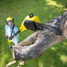Leaf Removal in Williamsport, IN